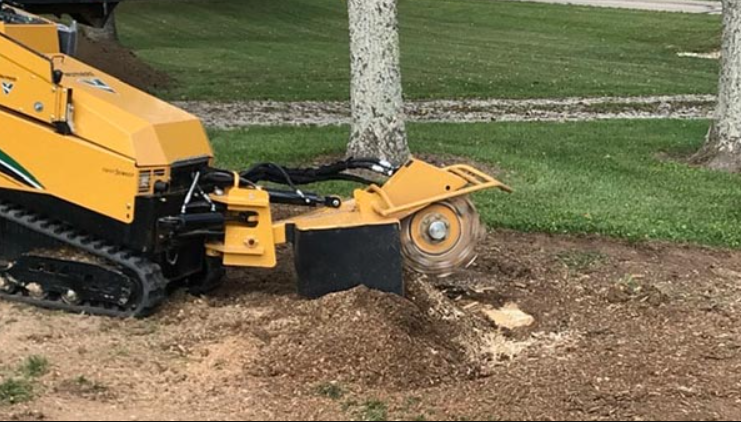 Get Rid of that Stinky and Unsightly Tree Roots With Stump Grinding Services