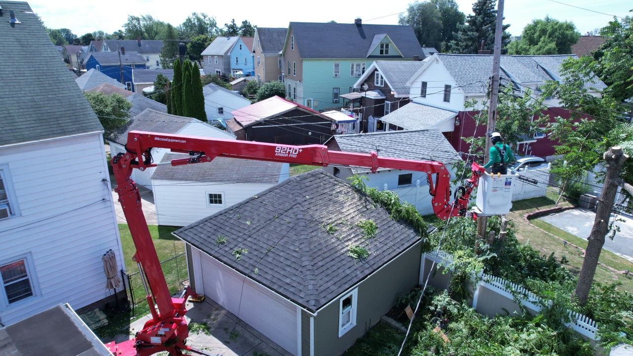 Importance of Hiring a Certified Arborist in Rochester, NY